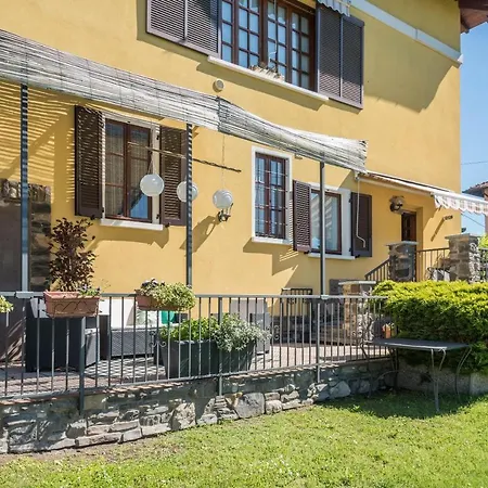 Tinas Yellow * Leggiuno