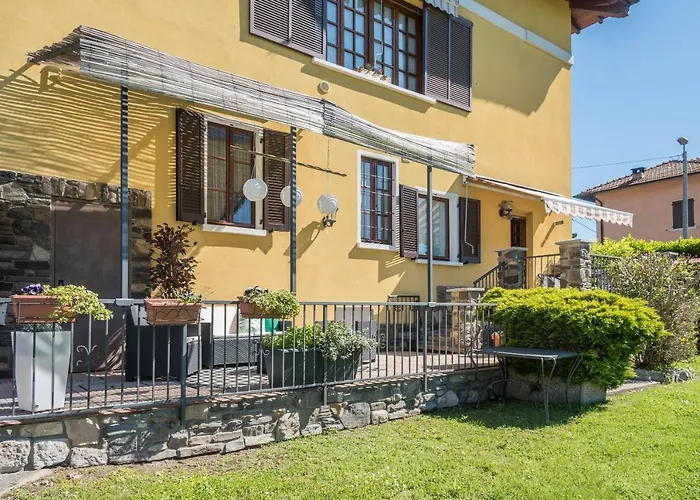 Tinas Yellow * Leggiuno